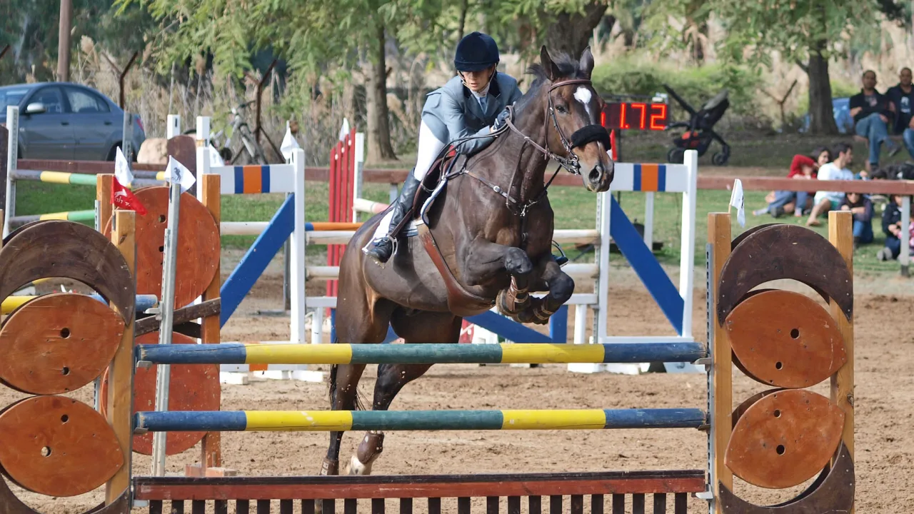 Representative sports image for Show Jumping
