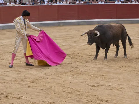 Ilustración generada por IA: Bull fighting