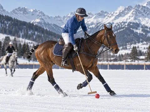 Ilustración generada por IA: Polo sobre nieve