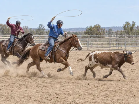 Ilustración generada por IA: Team Roping